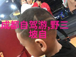 北京特色美食小吃介绍-品味北京街头巷尾的烤鸭炸酱面与豆汁油条