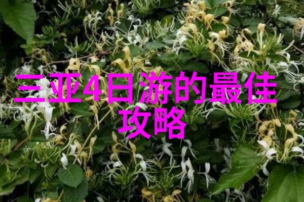 校园热点课堂上一位老师突发跳舞被学生录制成最大视频