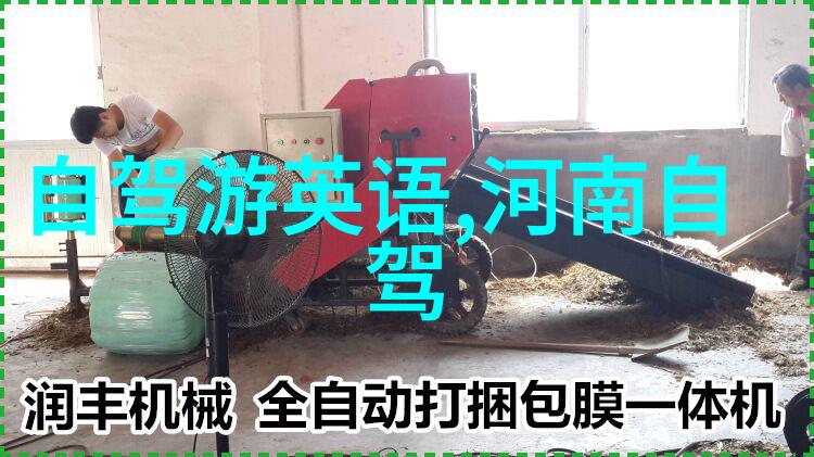 踏足美梦普通中国人去美国旅游的可能性与挑战