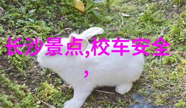 旅行规划专家专业的旅游咨询服务
