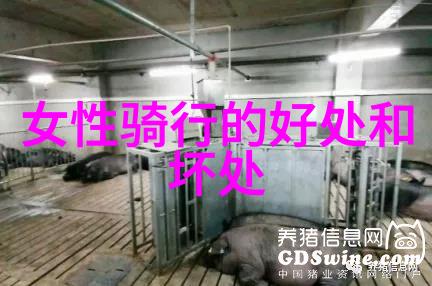 杭州旅游攻略-探索西湖之美完美的杭州行程