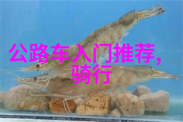 云南大理披着古城的现代魅力