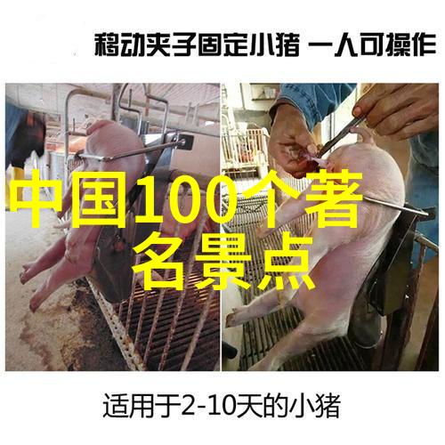 游记类书籍我走过的路你未曾见一位流浪者的世界之旅