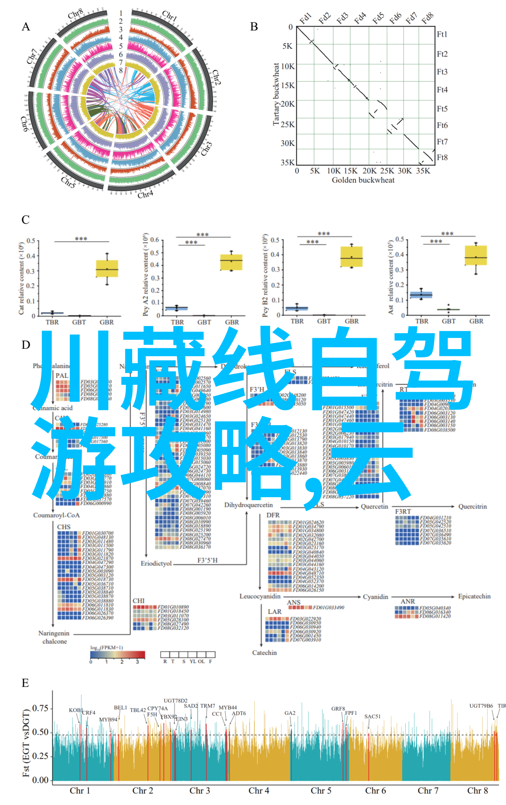 杭州周边自驾游探秘西湖畔风情乌镇水乡美食长城溪自然风光