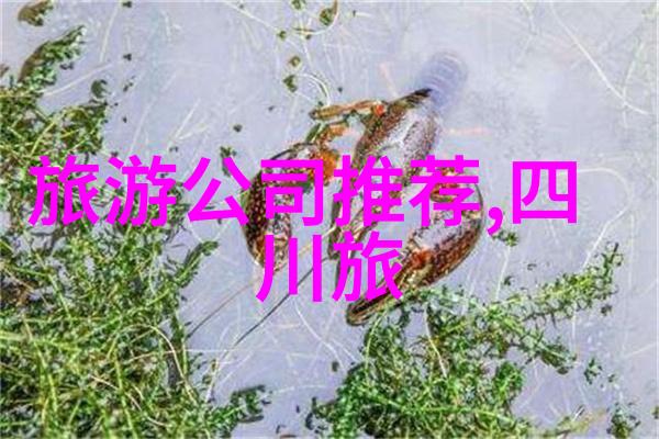 探索中国美景深度解析中国旅游论坛官网的旅途智囊团