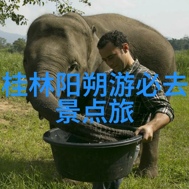 绿巨人永久入口免费破解版我来教你如何轻松玩转这款超级热门的游戏