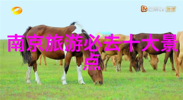 川西自驾游穿梭在青藏高原的翠绿画卷中寻找那份属于自己的宁静之境