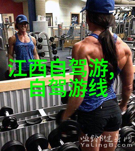 北方美食风味盛宴丰富的北方菜肴