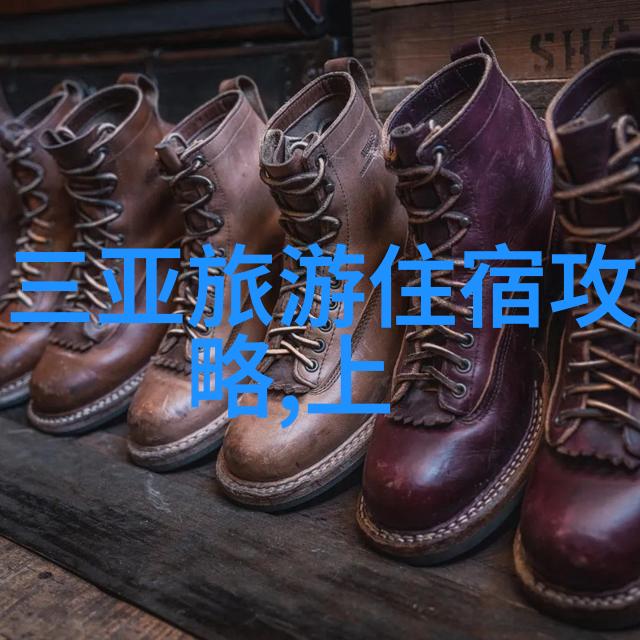 链环与镜头网络新贵如何成为自行车明星