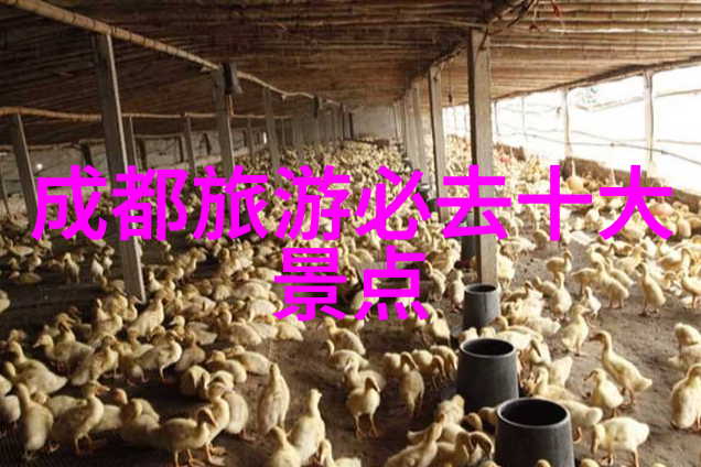 东方明珠之下探秘上海两日游