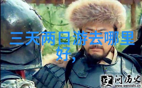 四年级学生的知识探索与创作自由撰写的价值与意义