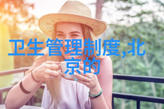 文化游记作文800字我在故宫的那些日子追寻历史的足迹