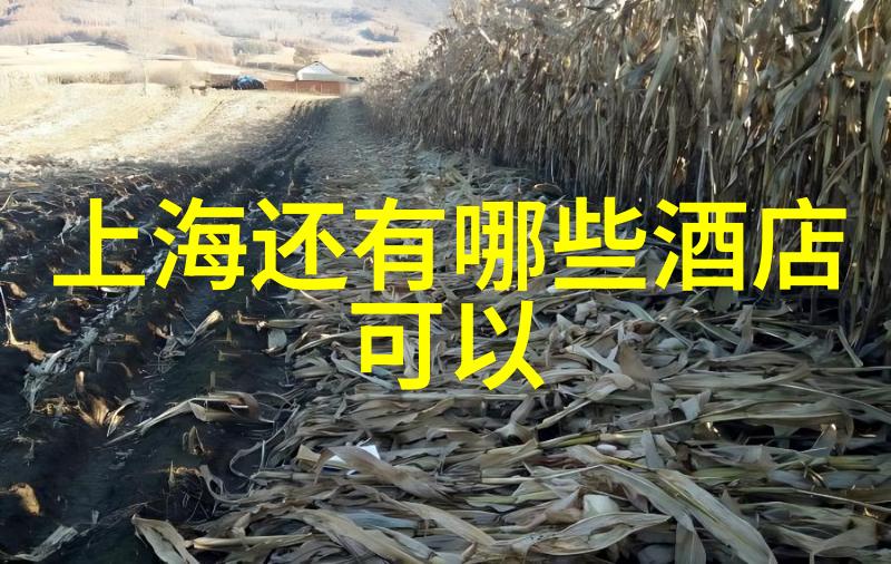 全球哪些目的地最受欢迎