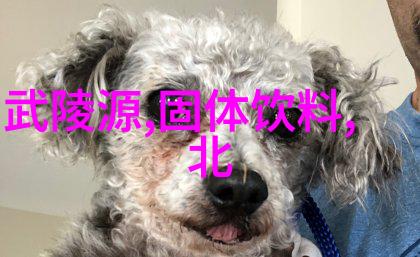 贵州探秘漫步在古老的黔国边陲一览众多旅游景点