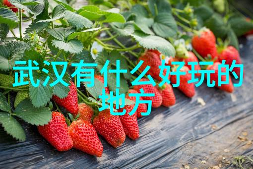 探索旅行软件哪款App最适合您的远行计划