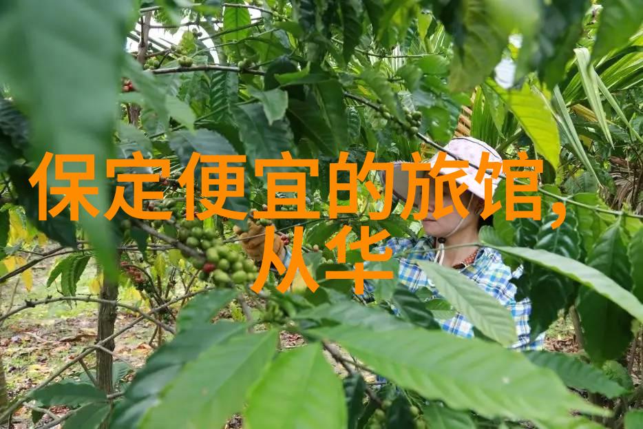 团队协作室内小游戏引领创意与友谊的盛宴