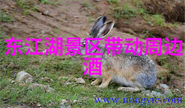 主题我来给你排个北京小吃一条街的热度榜