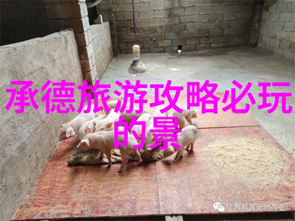 秦国妖后之谜