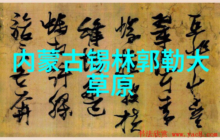 单车月伙伴SAMOX携手共创2023年公路车骑行传奇