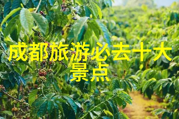 中国旅游热点从北到南跟我们一起走遍这些必去城市
