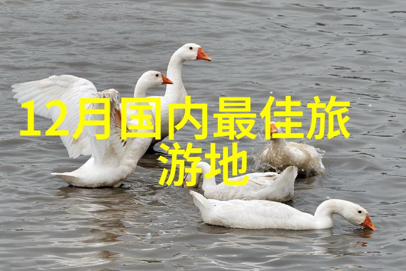 南京行记揭秘古都的现代魅力