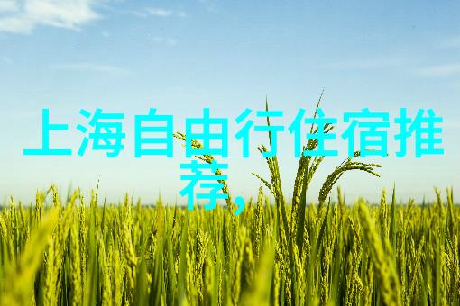 南方的守护者揭秘那些隐藏在世人视线之外的旅行宝藏贵州旅游攻略自由行最佳线路
