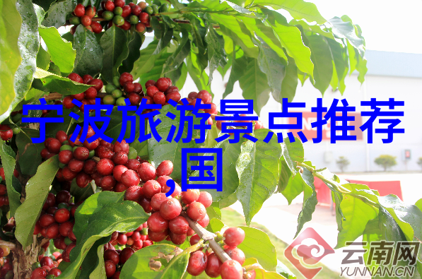 探索古城的韵味一个周末的漫步记