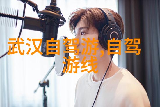 导游之家电子导游入口的隐秘探索