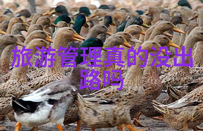 团队协作40人团建活动策划方案