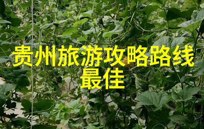 中国旅行指南探索中国最美丽的旅游景点