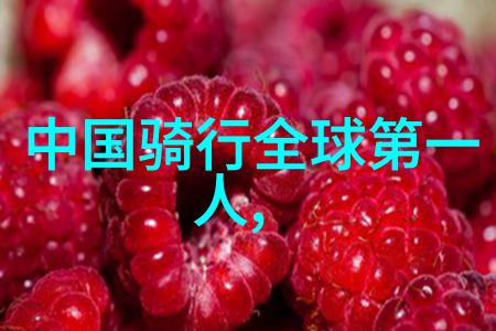 骑行人群特征探究速度姿态与精神的结合