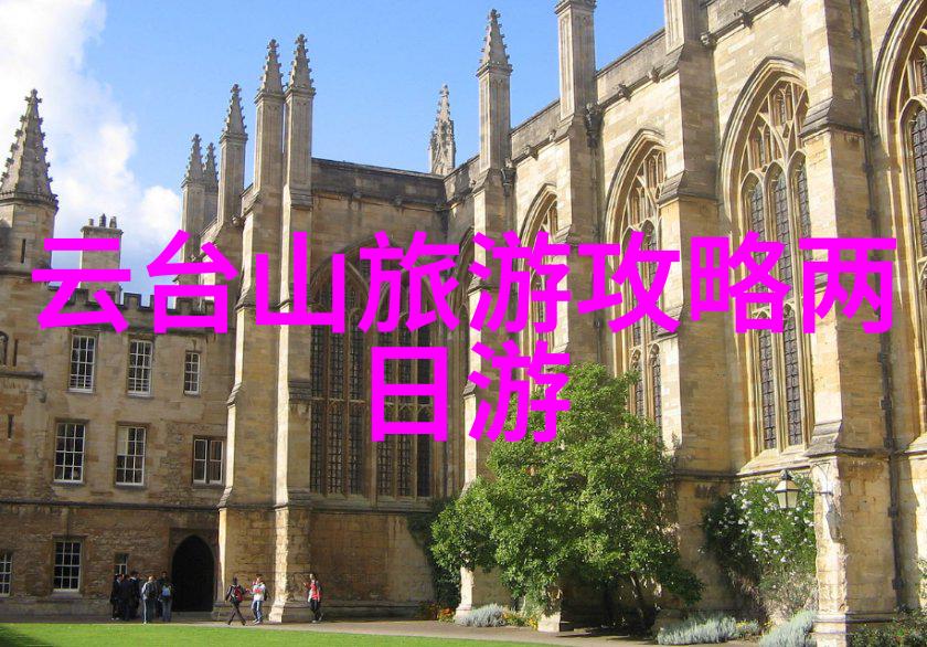 春节之旅花开满城喜气洋洋的探索篇章