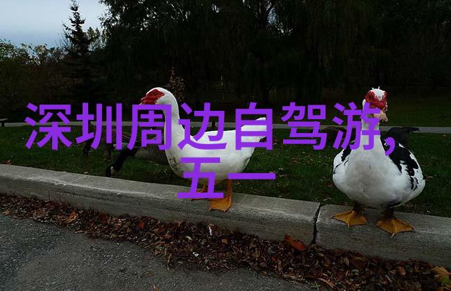 健康生活-女性骑自行车的好处健体美形减压增能