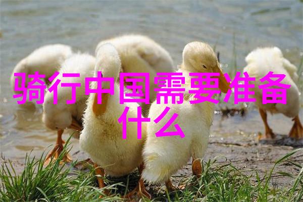 贵州从云雾缭绕的古村到星光璀璨的高原探秘这片充满反差魅力的旅行天堂