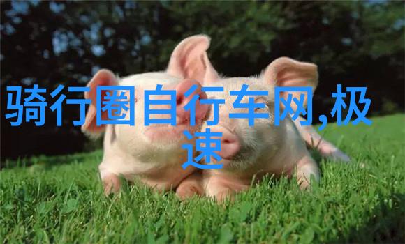 骑士在行动刘伟元探索大地篇章