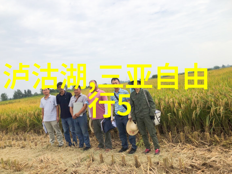 乌村稻舍乡村酒店的温馨怀旧之旅