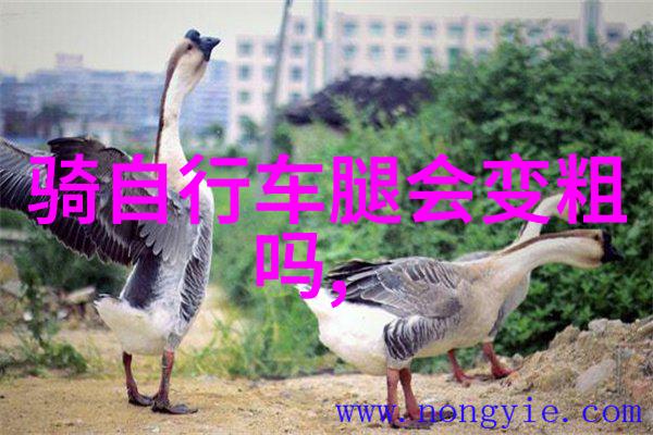 春风里的恨