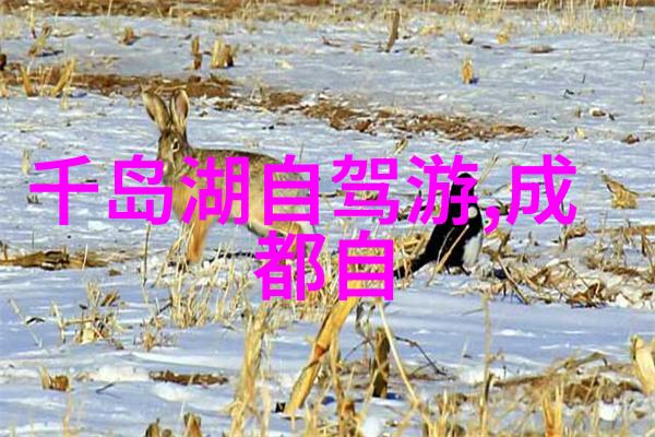 骑行生活的楷模专家赞扬Trek环保举措鼓励企业效仿