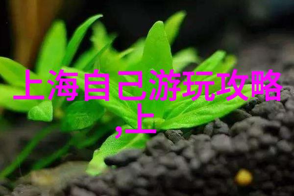 亚洲的薄码现象简析