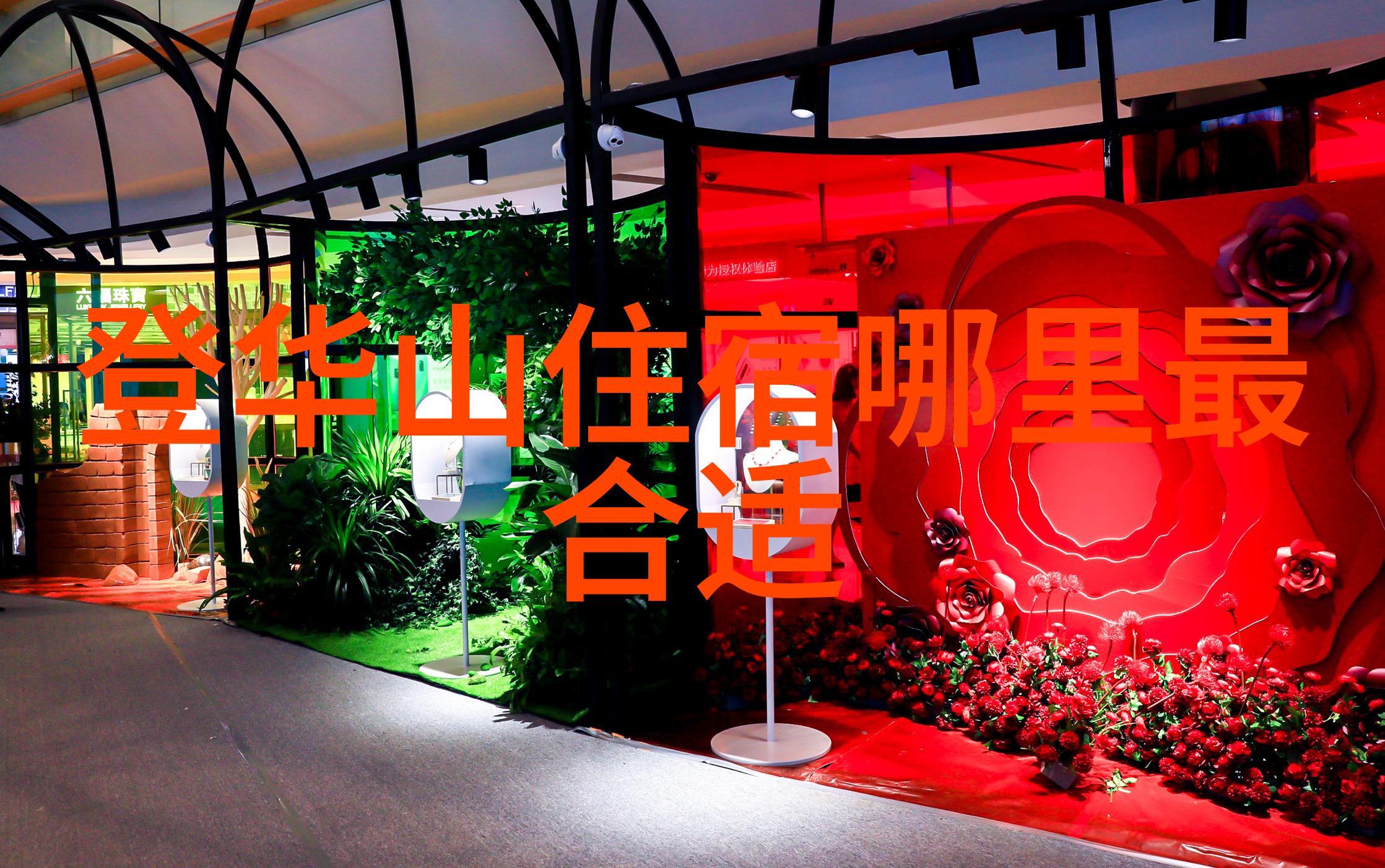 野性游戏百态探索自然的创意乐章