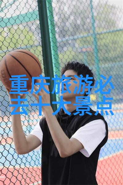 夏日炎炎观察花园中的昆虫世界