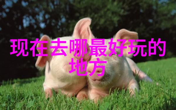 野三坡风情画卷记录一段田园诗篇