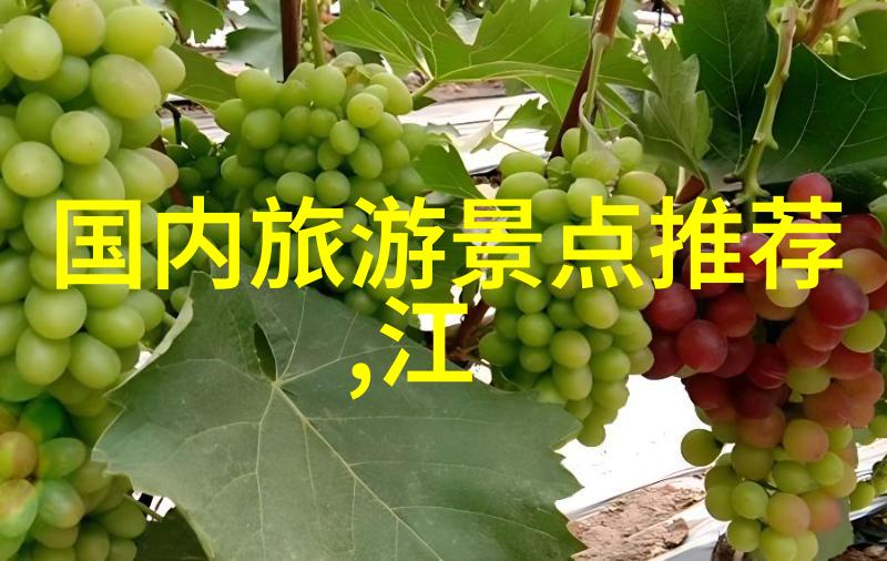 成都美食之旅品味四川菜的迷人魅力成都美食四川菜