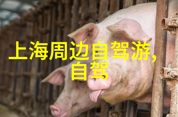 衡山文化探秘揭开千年古刹的神秘面纱