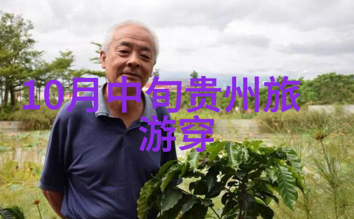 炫速冒险穿越大地的自由之翼