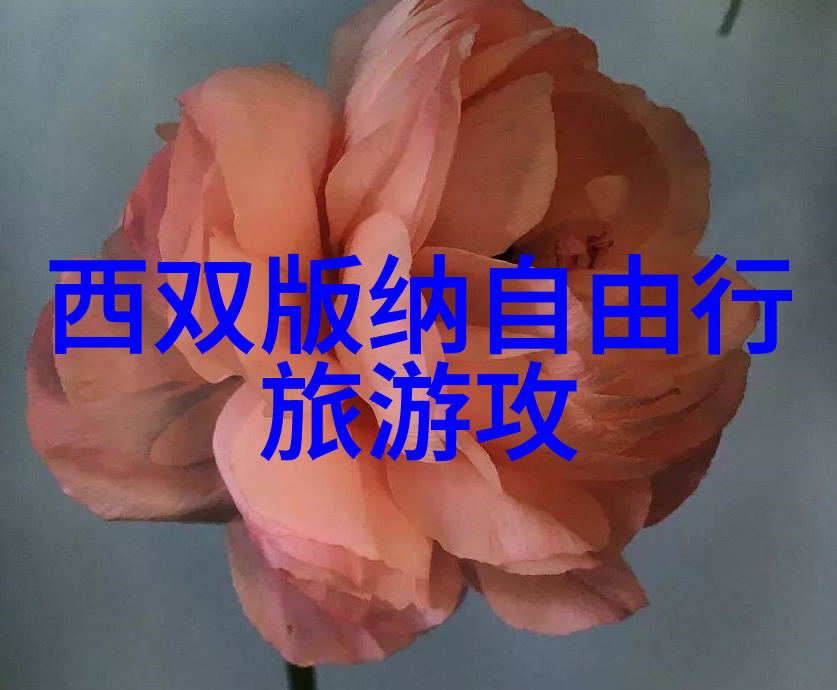 探索未知的美丽我的游历500字优秀作文