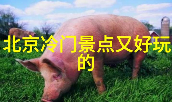 探索津门周边一趟充满乐趣的天津自驾游之旅