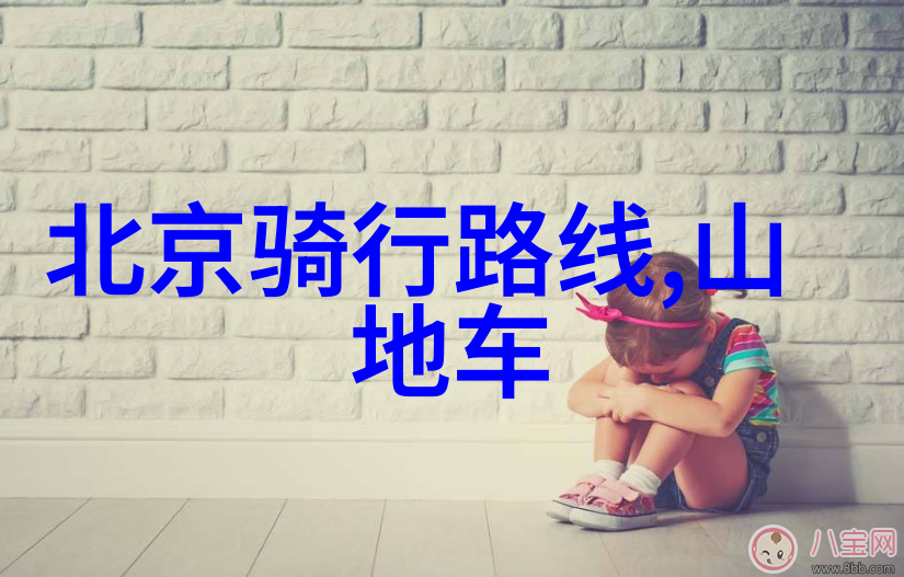 北京味道纵横小吃街的风情画卷