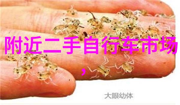 武汉周边探秘江湖风情与自然之冠的旅游宝地