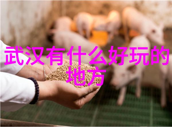 探索未知自驾游论坛上的旅程分享与规划秘籍